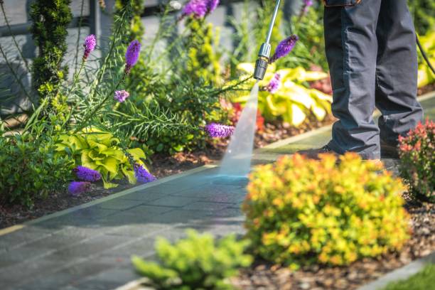 Best Spring Cleaning  in Otisville, NY